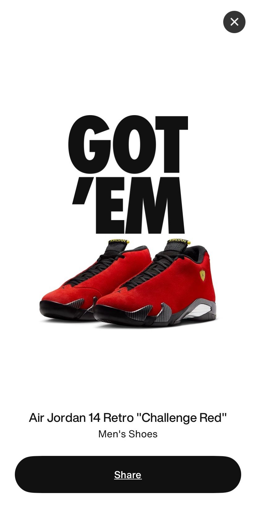 Retro Jordan 14 Ferrari 10.5