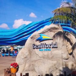 Tour a Sea World con boleto incluido.