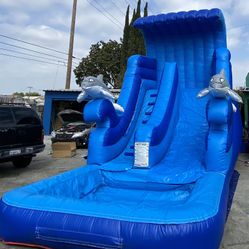 Water Slide Up For Sale
