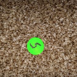 Carpet New