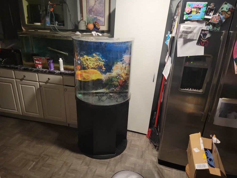 36 Gallon Bowfront