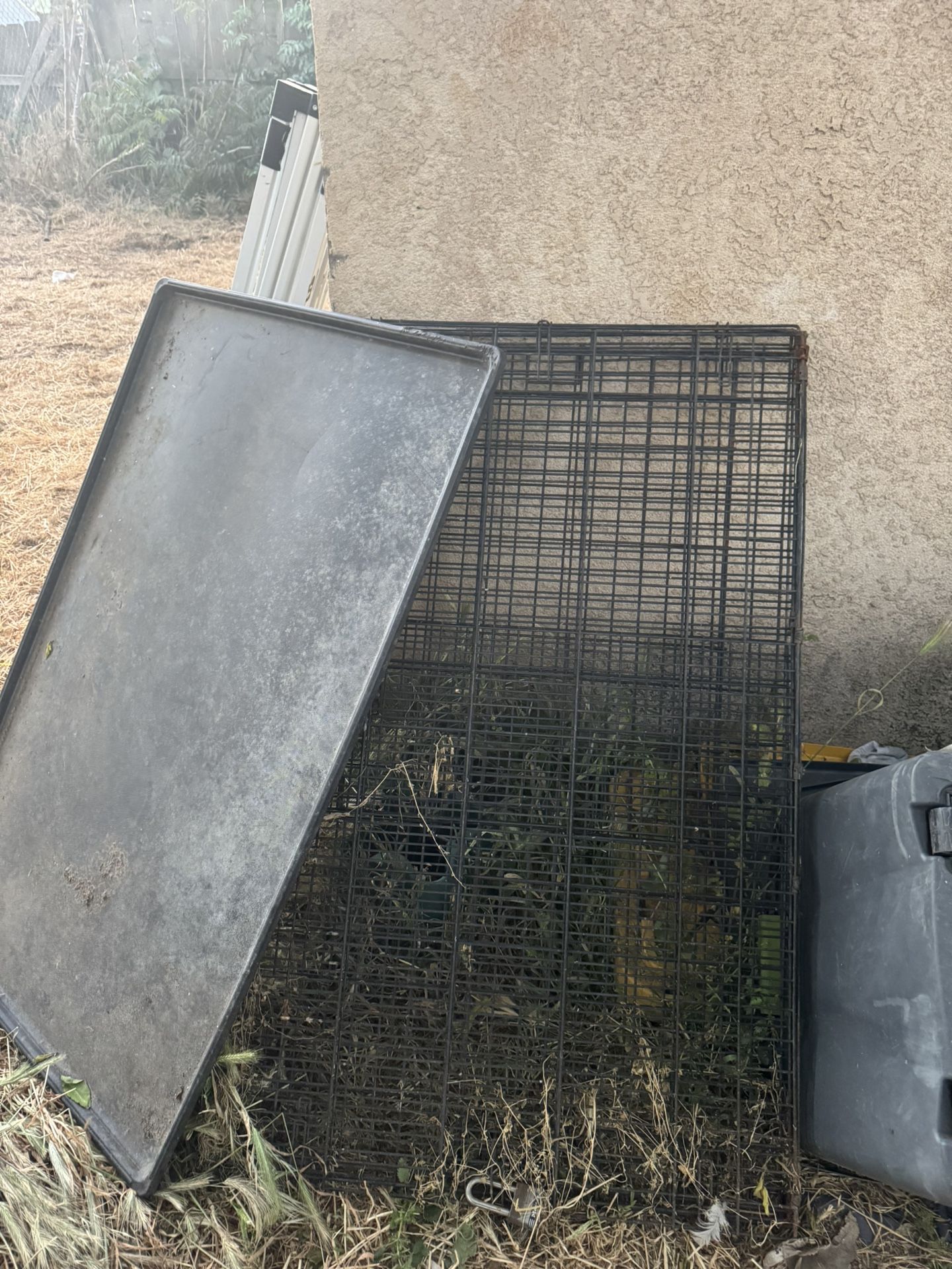 Big Dog Kennel
