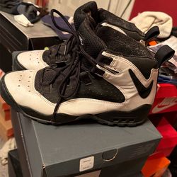 Nike Air Darwin /Dennis Rodman 2005