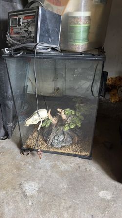 Glass Enclosure