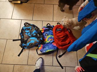 Used Backpacks