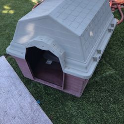 Dog House