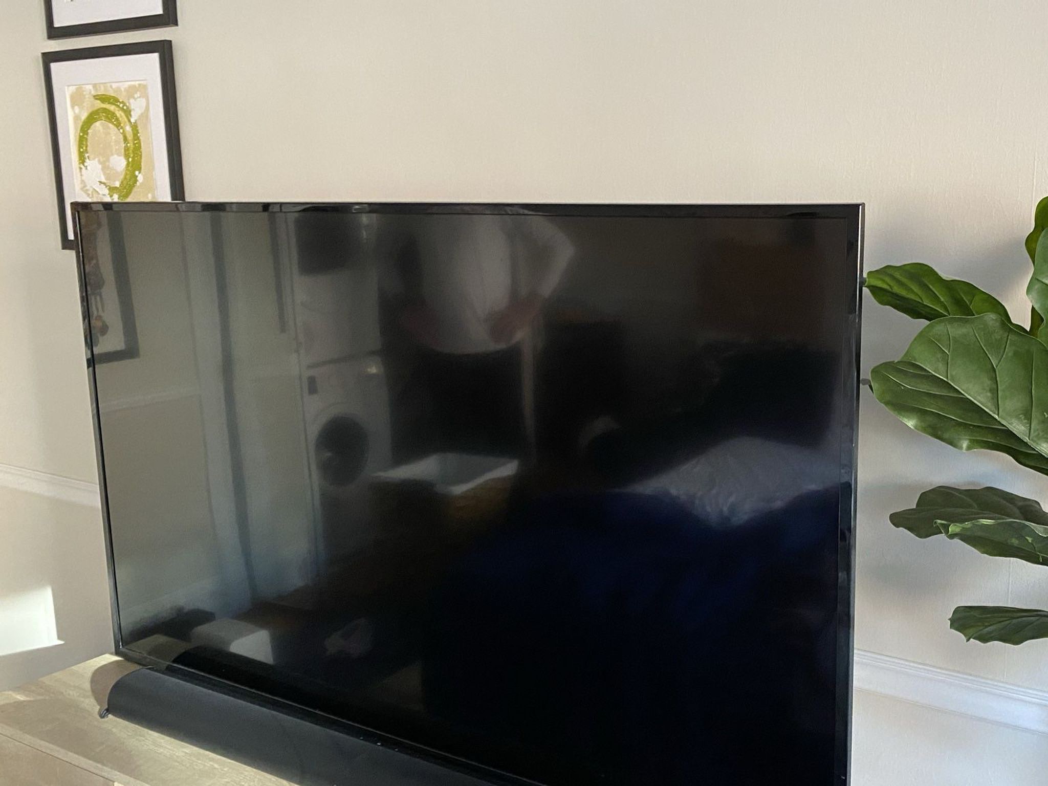 TV: Vizio 65-inch D65-E0 ($800 New!)