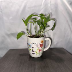 Pothos Plant With Bloom Mug 