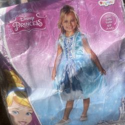 Cinderella Dress