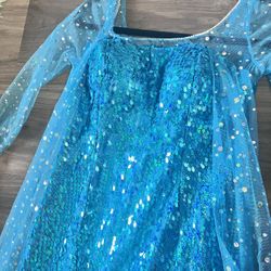 Homemade Elsa Costume 