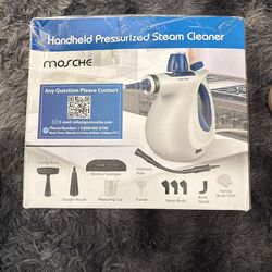 Steam Cleaner