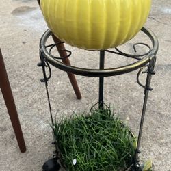 Plánteros $10 