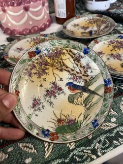 Hand paint Bluebird Saucer Plates Set