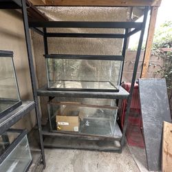 Metal Rack
