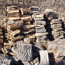 100% Oak firewood - Stock up now.