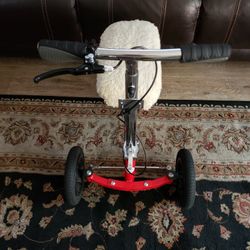 3 Wheel Bike 