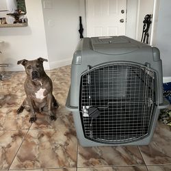 TSA Approved Dog Crate Extra Large 