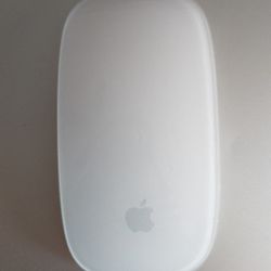 1st Gen Apple Magic Mouse (A1296) Battery AA