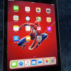 iPad Air 2 128gb (cámara not working)  rest is excellent