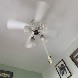 36” Fan And Light Unit Very Nice 