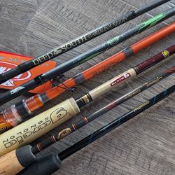 Premier 1PC Casting Rods: Berkley, Daiwa, Garcia & more