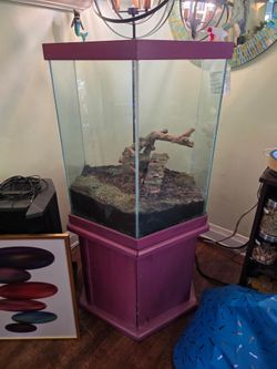 Terrarium