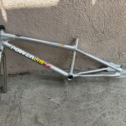 Power Lite Frame With GT Forks 