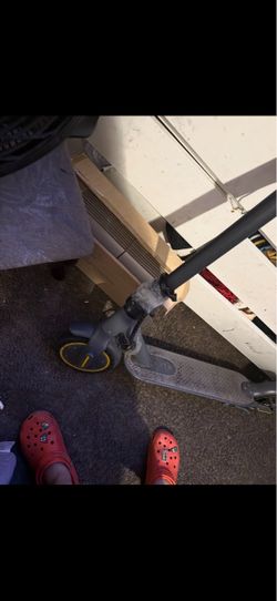 Electric Scooter