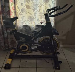 Professional Exercise Bike