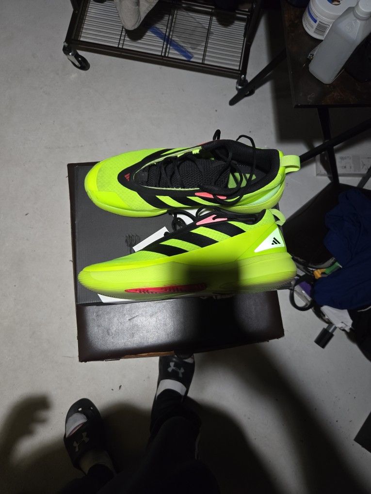 Subzero Addias Basketball Shoe
