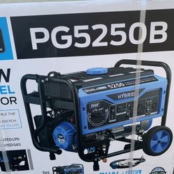 5250 Dual Fuel Pulsar Generator 
