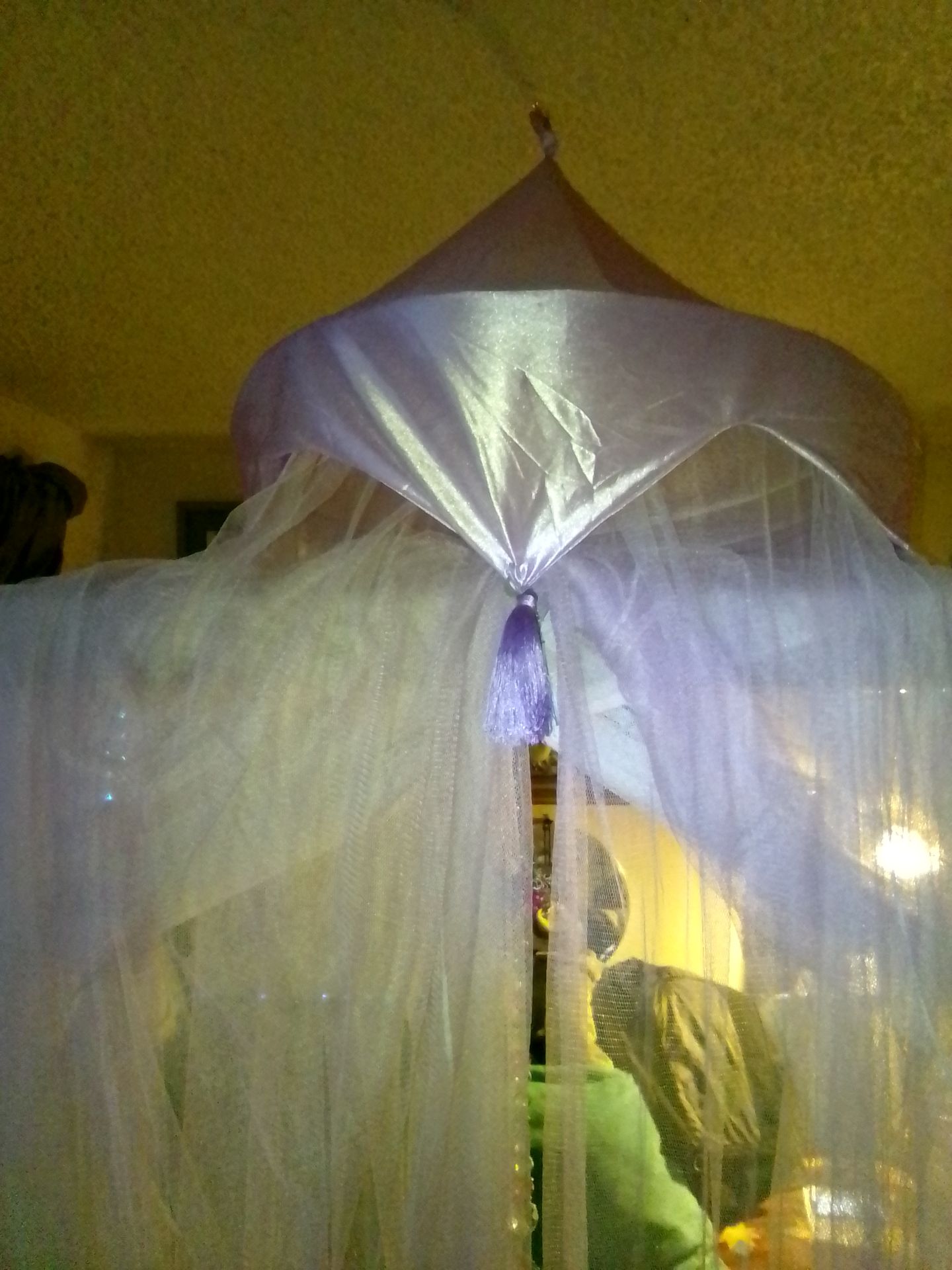 Satin purple princess canopy curtains