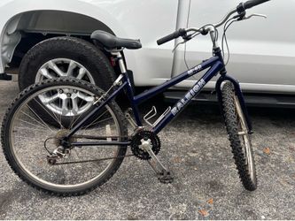The Raleigh M40