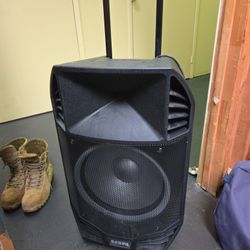 Brand New ION BASS SPEAKER