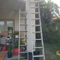 Ladders 