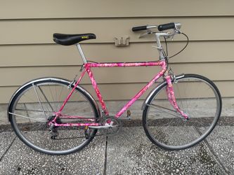 Vintage Hand Painted Shogun Bicycle - Medium