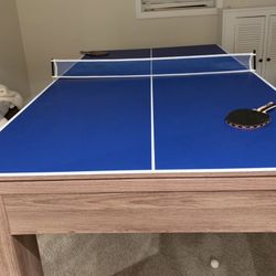 Pool Table/ping Pong Table 