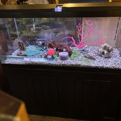 75 gallon aquarium and accessories
