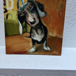 Dachshund canvas print