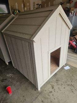 Dog House