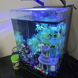 5 gallon glofish tank