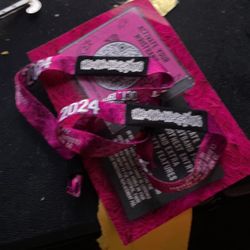When We Were Young 2 GA Tickets 10/19/24