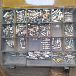 Case Of Buss Fuses