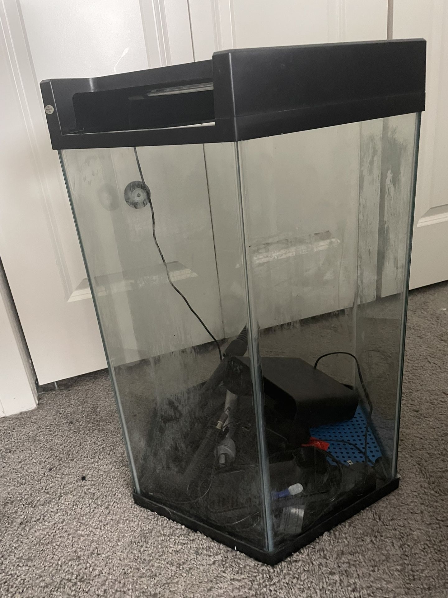 Fish Tank