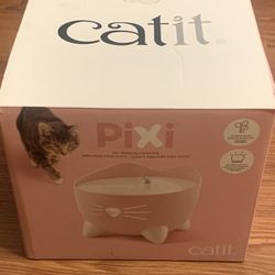 CAT 🐱 DRINKING  FOUNTAIN 