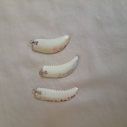 Tooth Charms