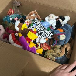 Beanie Babies Older Ones 60 Bucks 