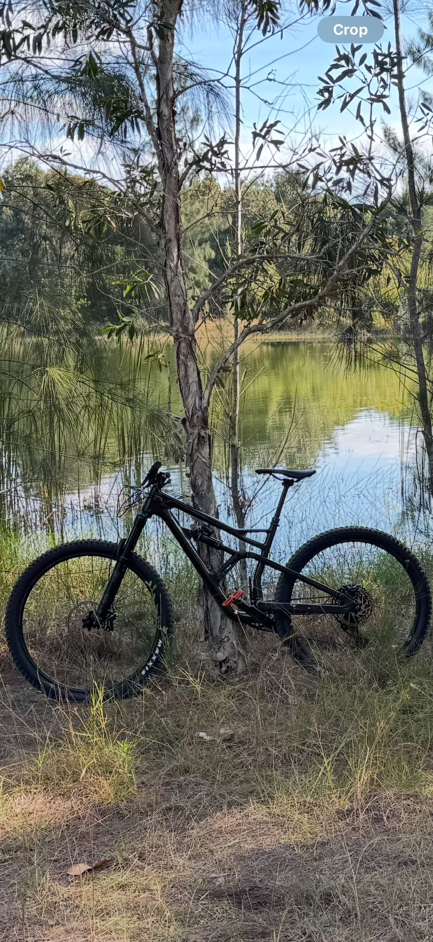 Cannondale Jekyll Carbon 29 3