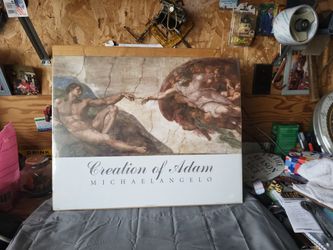 Creation Of Adam Michelangelo Poster 16"x20"