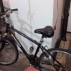 Schwinn Bike 